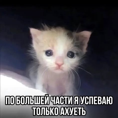 О наболевшем