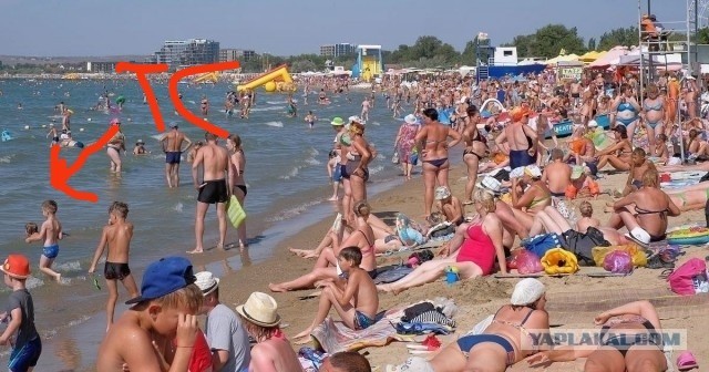 Где стройные женщины?