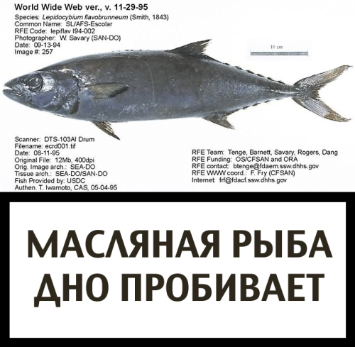 Вокруг - одна опасность!