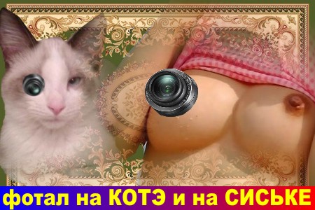 Фотоаппарат ЯПовца