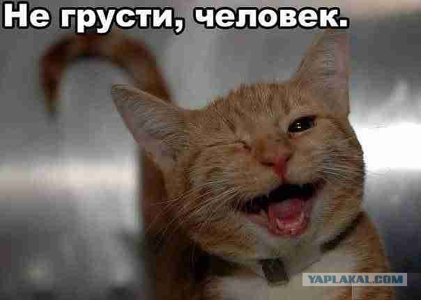 Австрия вступилась за ЮКОС