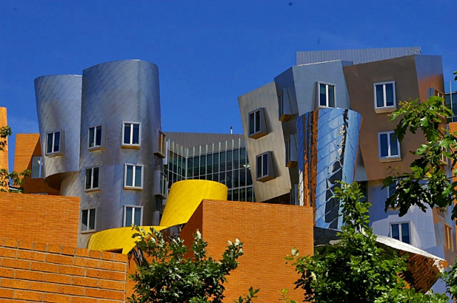 Интересно, а заочное у них есть?