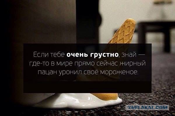 Прикольные фото и картинки