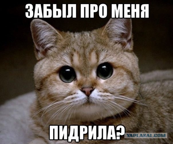 Комиксы про ЯП
