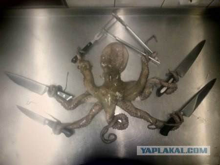 Подборка приколов на пятницу