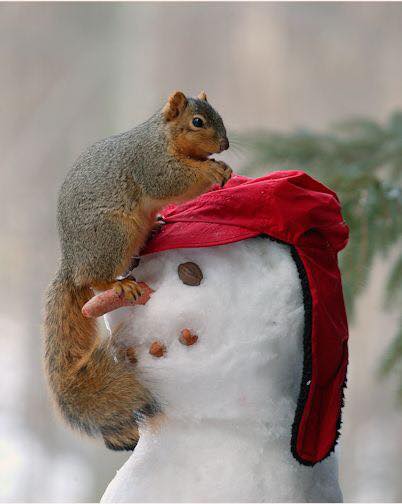 Разные картинки