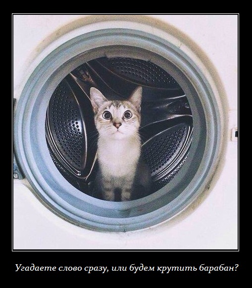 Подборка картинок 17.02.16