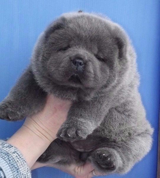 Подборка картинок на среду