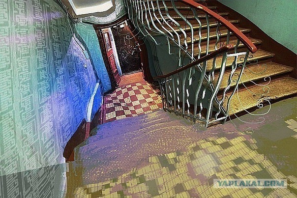 Абсурдная субботница