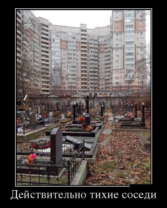 Демы без Темы