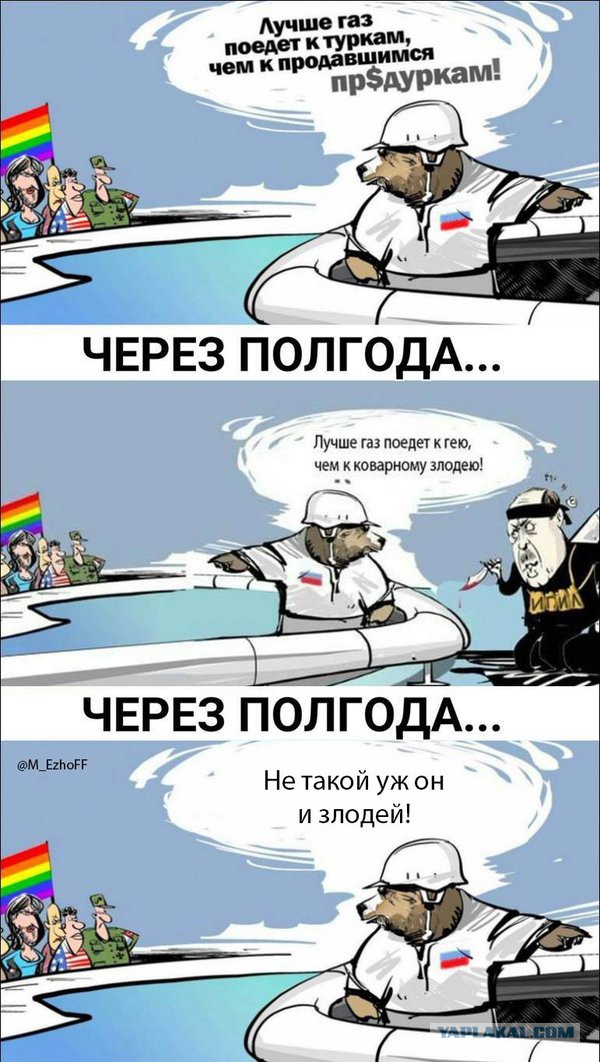 Путин отказался от визита во Францию и встречи с Олландом