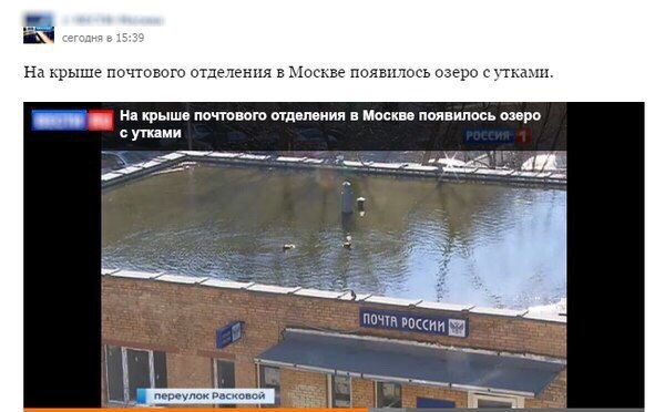 Порция картинок из сети