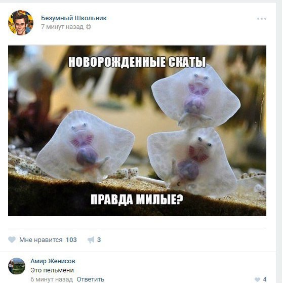 Ужасы и приколы из соцсетей 18+