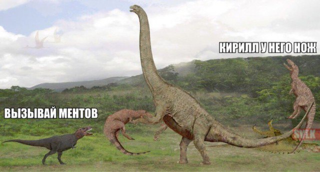 Драма под окнами
