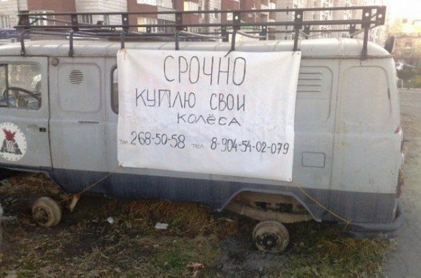 100 картинок для поднятия настроения!