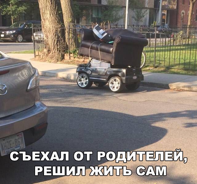Всякая всячина
