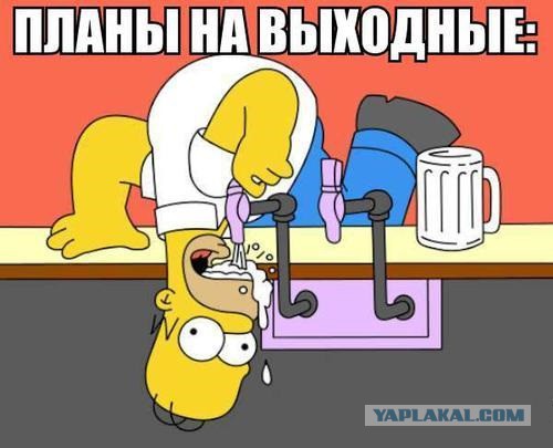А сегодня Вы деградировали?