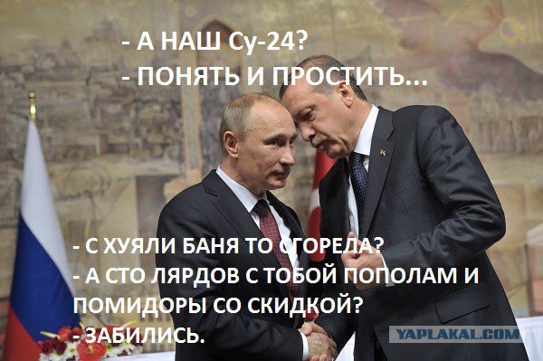 Эрдоган и Путин обсудят безвизовый режим и снятие санкций