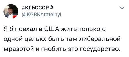 Как Госдеп США беспокоится о "домашнем насилии" в России