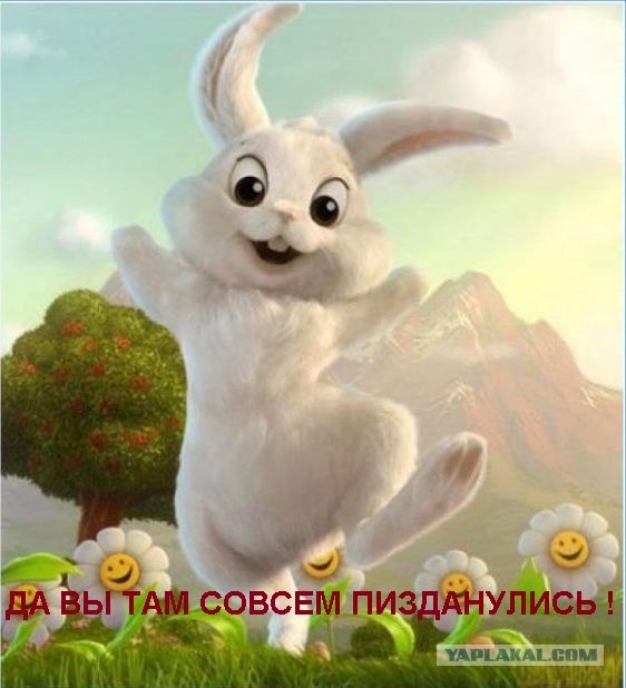 "Живи, сука, дешево и сердито"