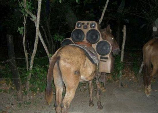 Звук для себя-любимого