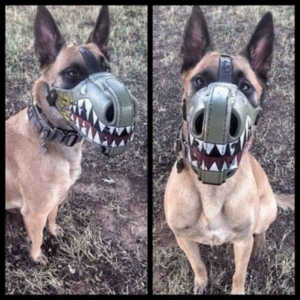 Картинки по-приколу