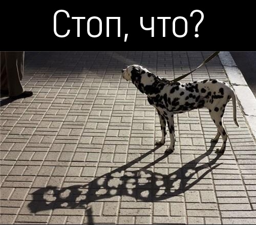 Специфический юмор