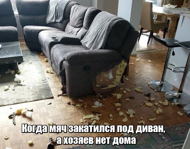 Прикольные картинки абавсём