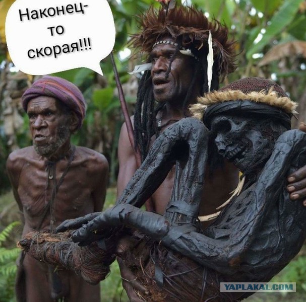 Скотсети и иной интранэт