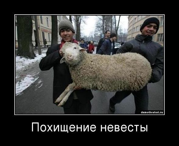 Картинки в рамках с надписями