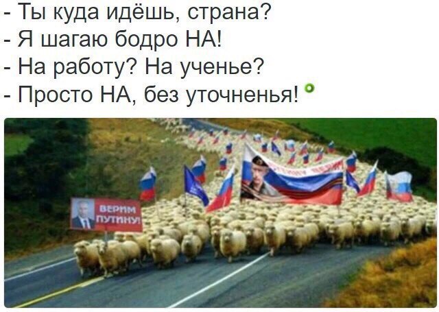 Школьники в регионах РФ запустили флешмоб с надписью «Путин — вор»