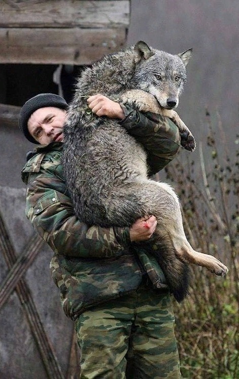 Живность из сети
