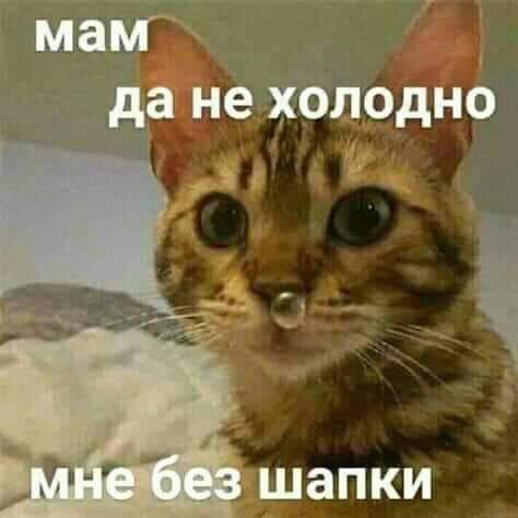 «Картинки разные нужны, картинки разные важны»