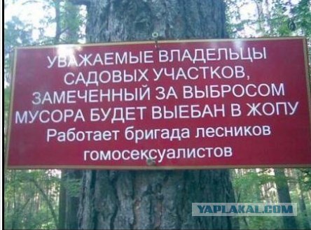 Дачные Шерифы,они опасные!