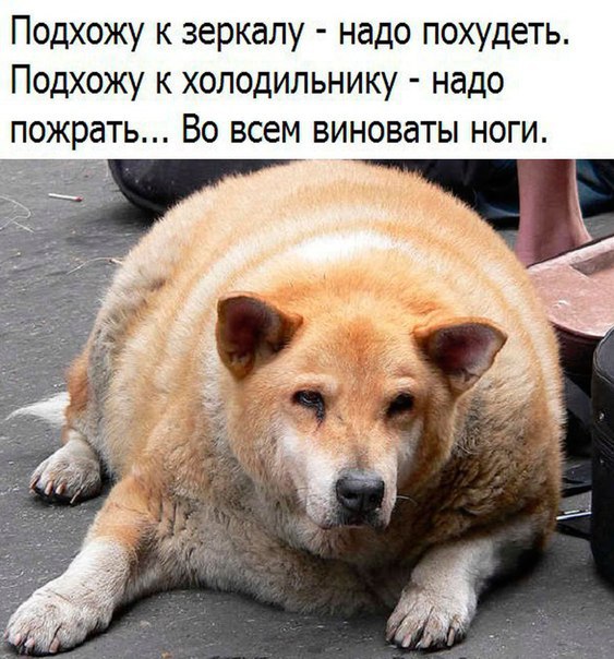 Немного картинок для настроения 17.01.20
