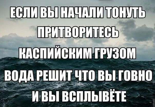 Зачем тратить деньги на цирк?