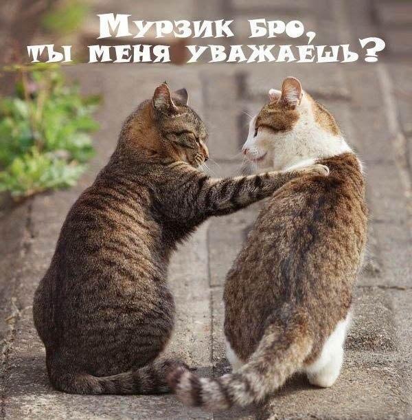 Чуток картинок, Ночные