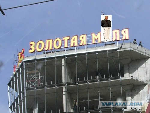 Фотожаба: Золотая Мля