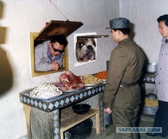 Фотожаба: Мясо свежее?