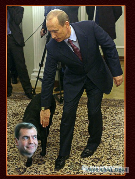 Фотожаба: Путин двинул кони