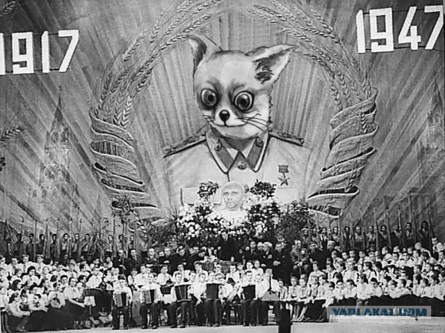 Таксидермия + наркомания