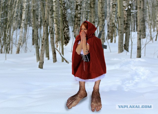 Фотожаба: "Заплутала"