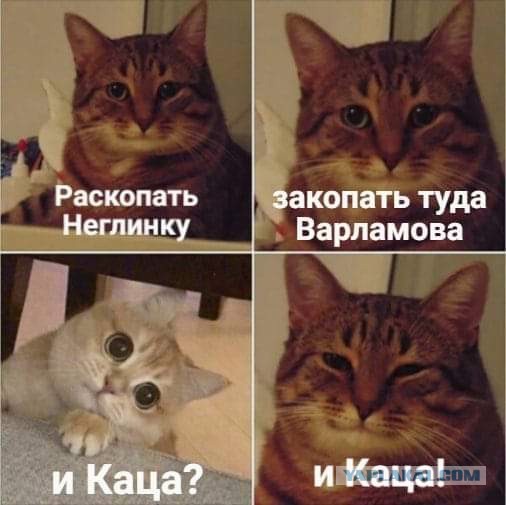 Бредзона 07.03.21