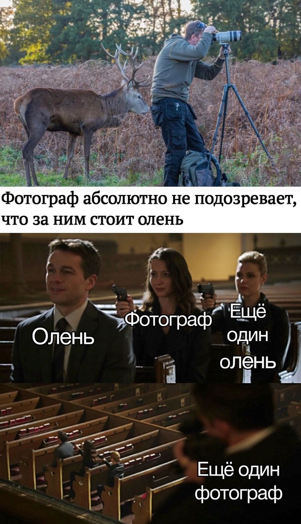 Весёлый полтишок 13.03