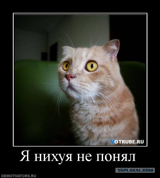 Что это было?