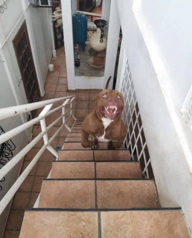 Насохранял