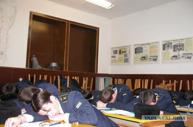 Чем на самом деле занимаются студенты!