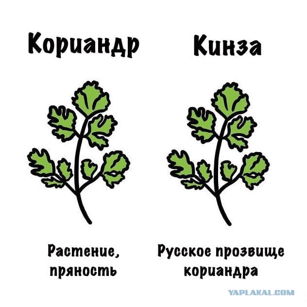 Картинки на субботу