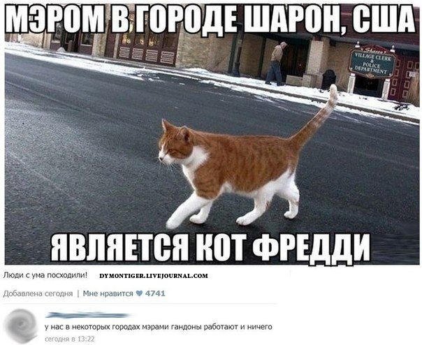 Картинки и мемы для настроения 01.11.2021