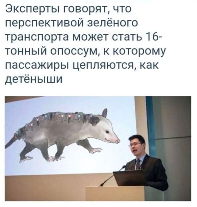 Не квакай!